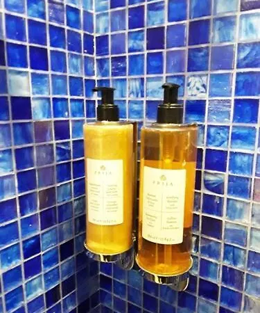 佩西恩那阿卡德米亚玛拉维吉别墅酒店 3* 威尼斯